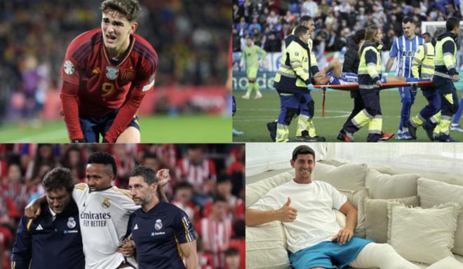 五谷丰登：探索五谷农作物的多样性与现代农业发展之路